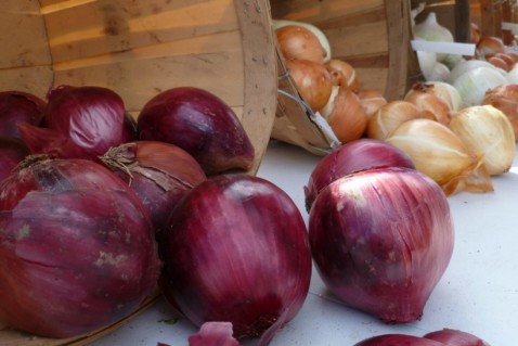 Natural Farm Stand onions at Crystal Lake Farmer's Market