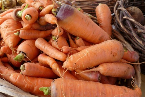 Natural Farm Stand carrots at Crystal Lake Farmer's Market