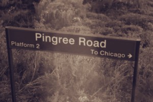 Pingree Road Metra Station platform sign