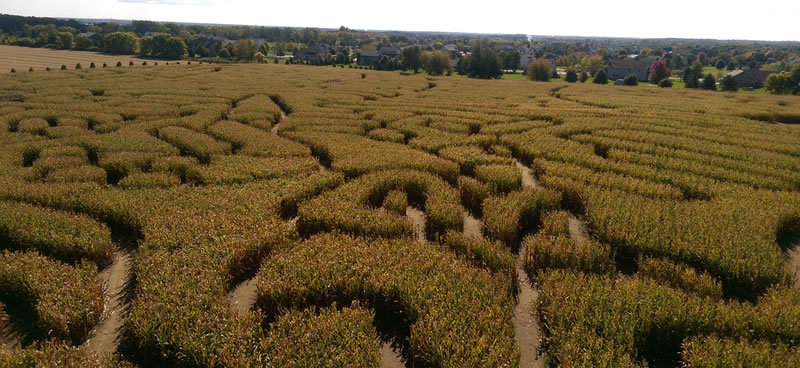 View of Richardson Farm corn maze
