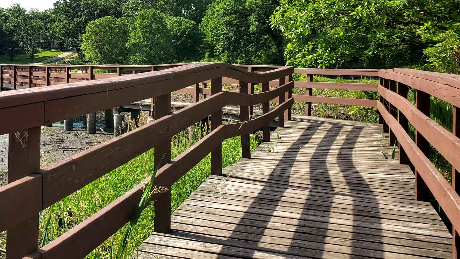 Wooden bridge over marsh at ponds edge at Veteran Acres Park.