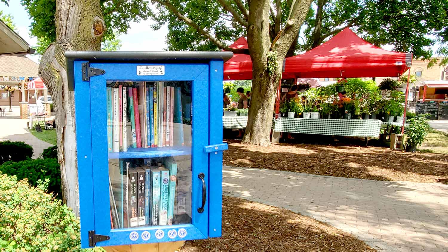 Little Free Library in Depot Park in downtown Crystal Lake.