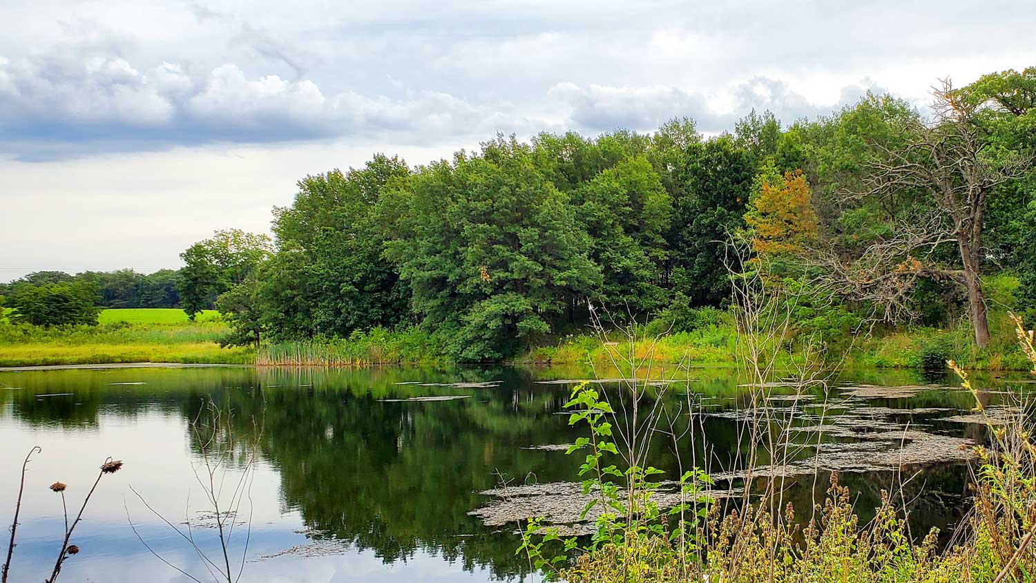 Pond at the Pleasant Valley Conservation Area.