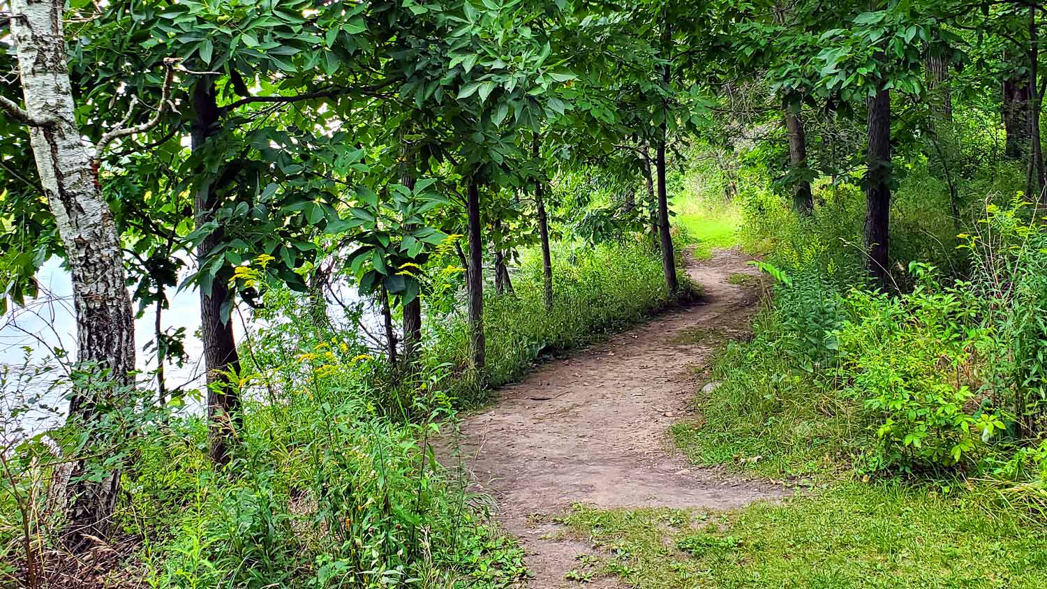 Walking trail along the pond at the Pleasant Valley Conservation Area.