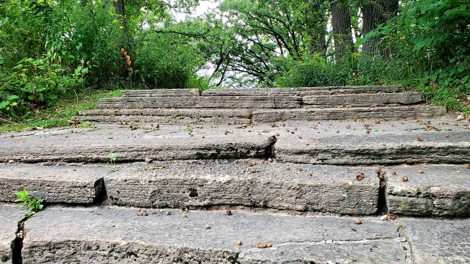 Close-up detail of the stone steps leading to the amphitheater at the Pleasant Valley Conservation Area.