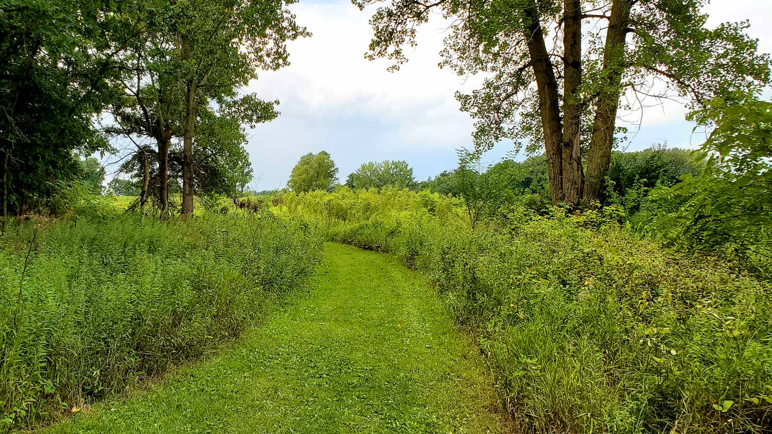 Grass-covered hiking path at the Pleasant Valley Conservation Area.