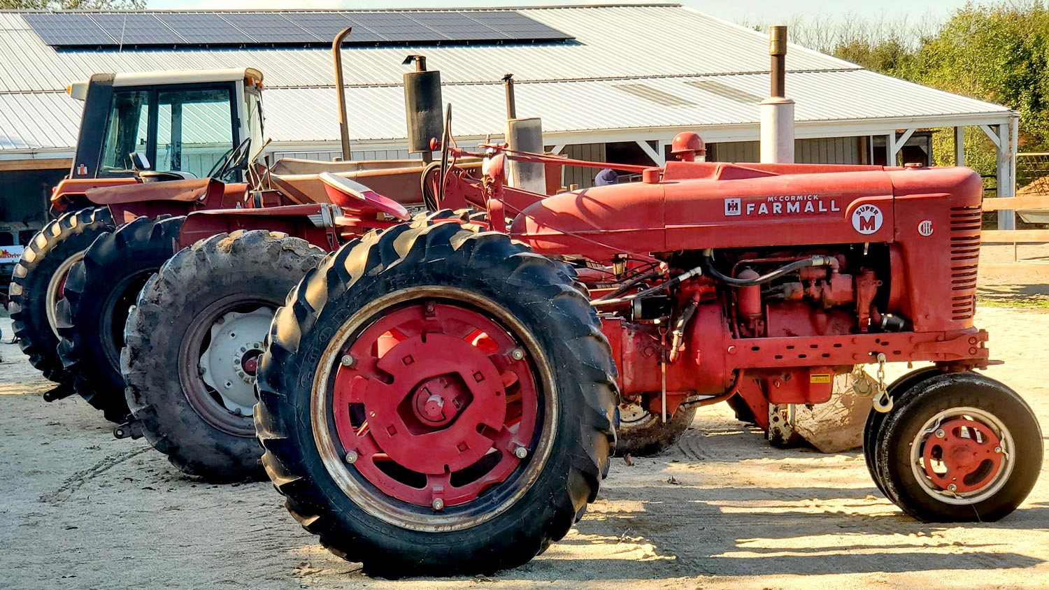 Antique Farmall Super M tractor on display at 5 Lazy K Ranch.