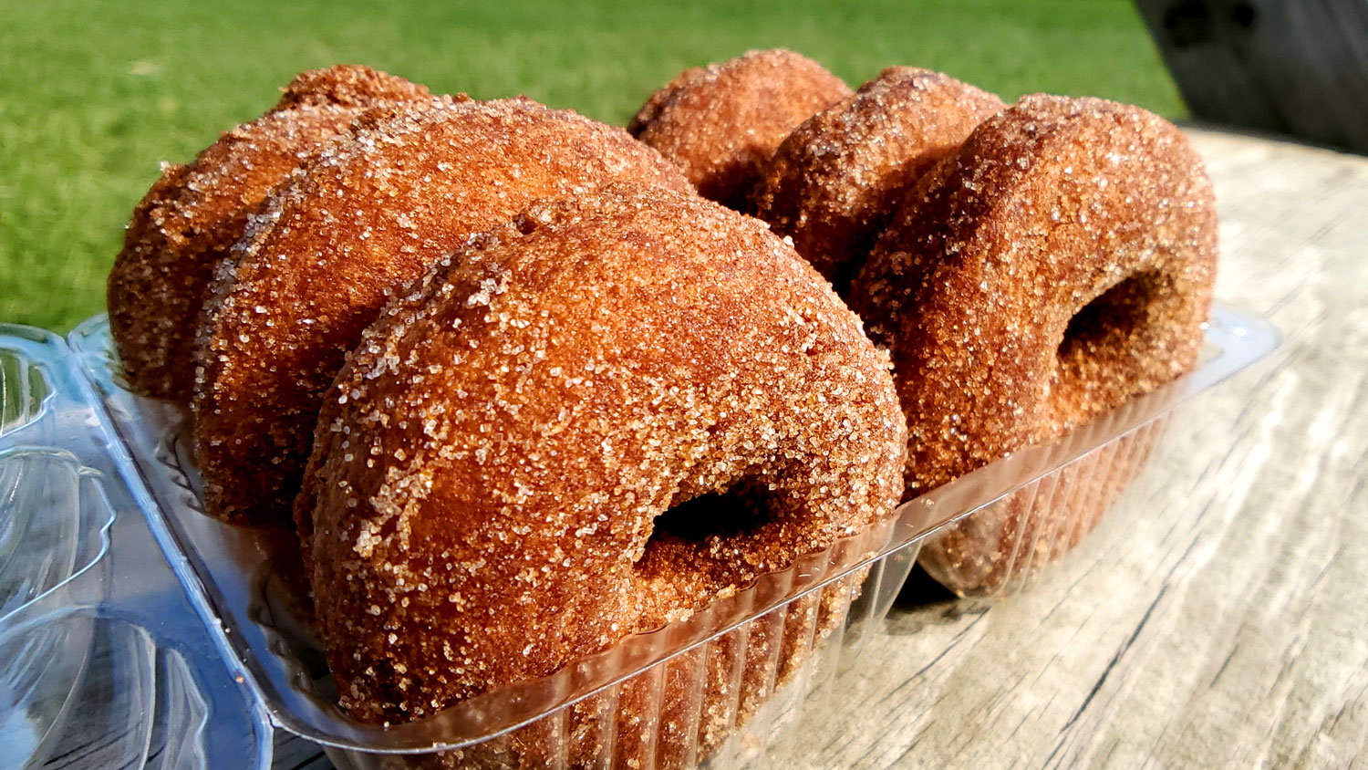 Warm, freshly made apple cider donuts at Cody's Farm and Orchard.