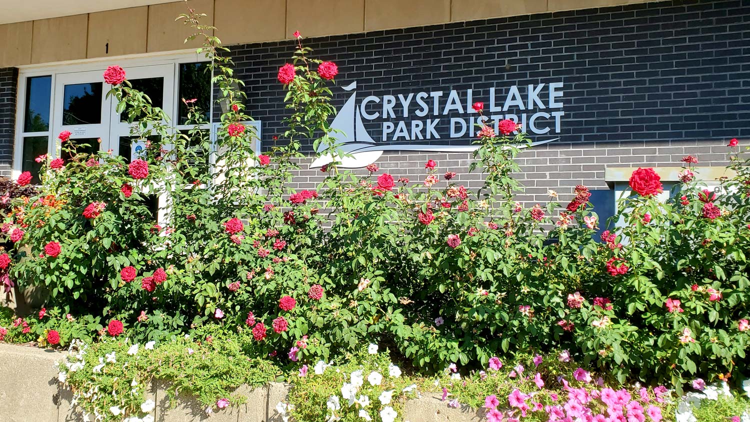 Array of flowers outside the Crystal Lake Park District administration building.