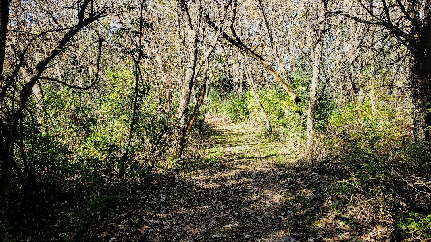 Hiking path leading to group campground at Rush Creek Conservation Area.