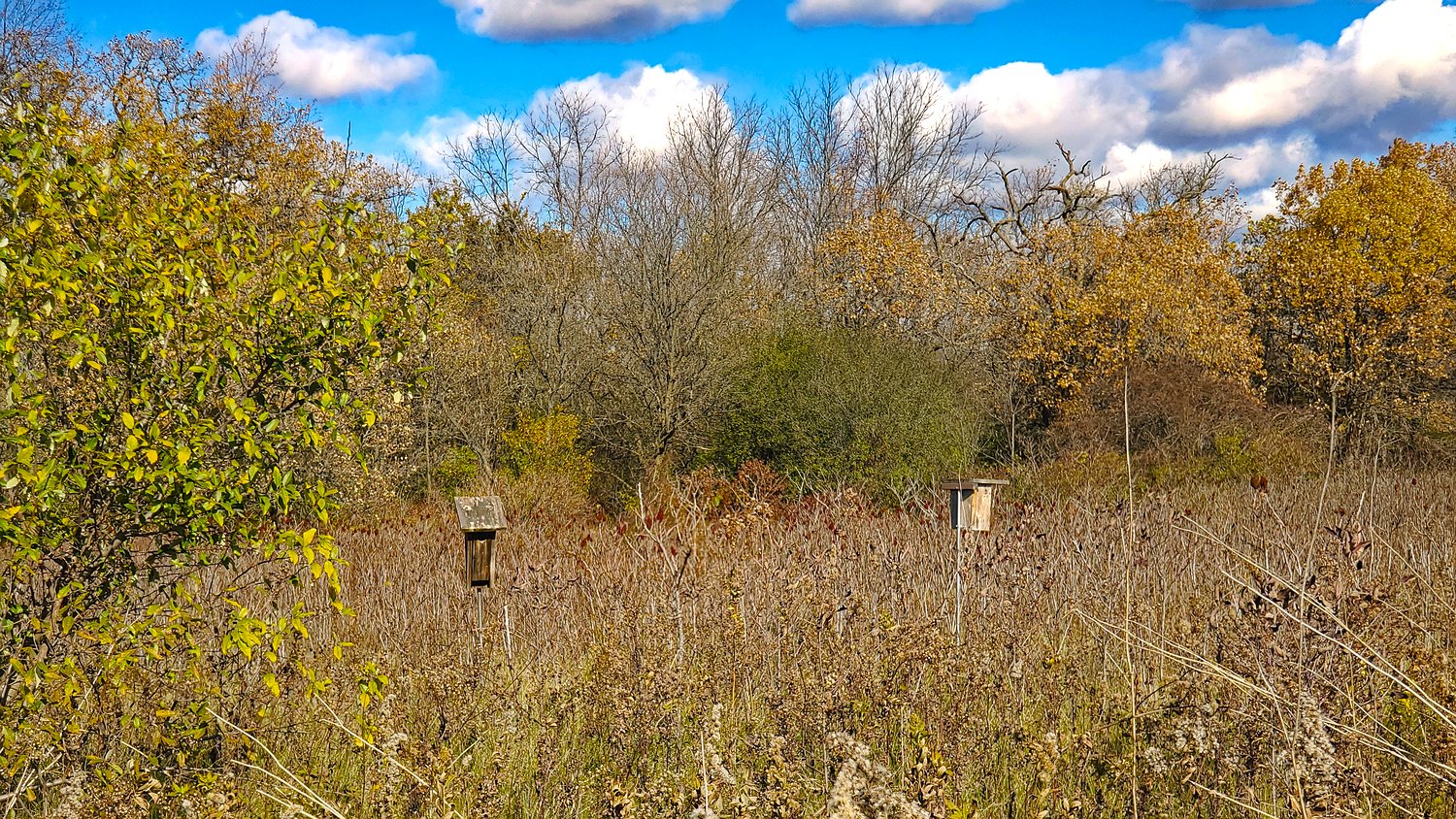 Bird houses at Rush Creek Conservation Area.