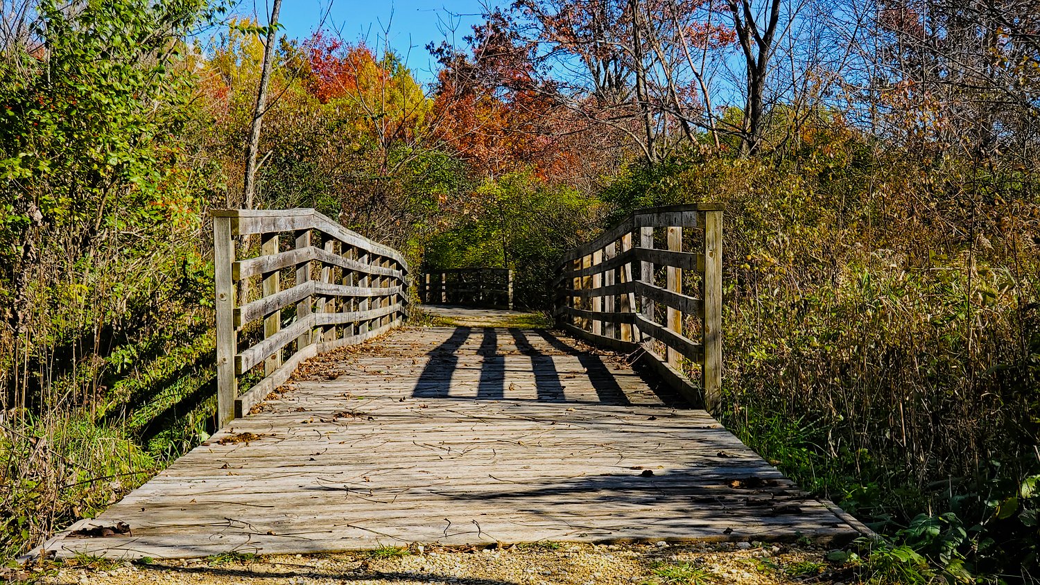 Bridges over the stream beds at Rush Creek Conservation Area.