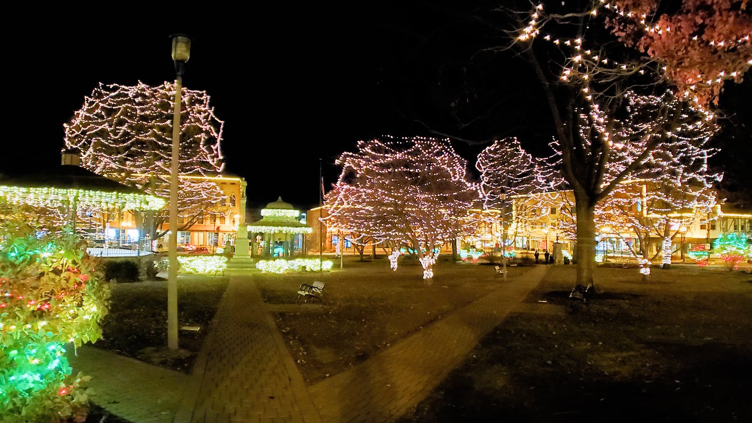 Trees lit up at the Historic Square in Woodstock, IL.