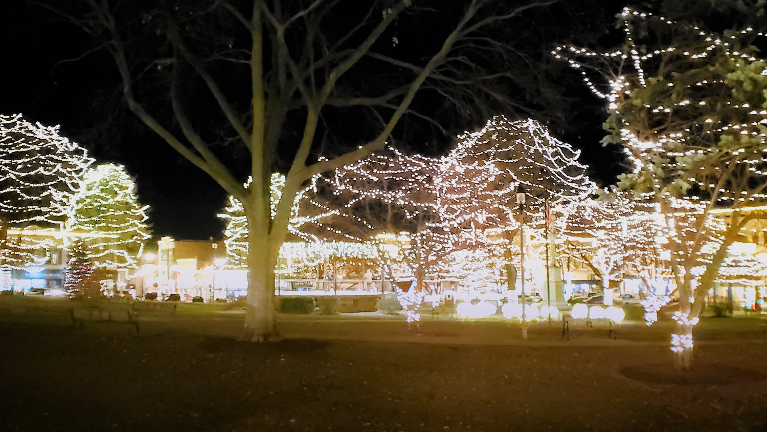 Christmas lights in the trees and around the bandstand at the Historic Square in Woodstock, IL.