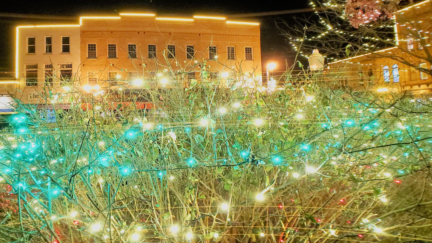 Array of lights in bushes at the Historic Square in Woodstock, IL.