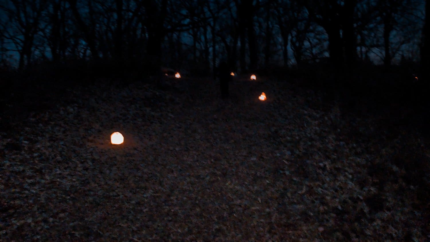 Luminarias lighting the path up the hill to the Nature Center.