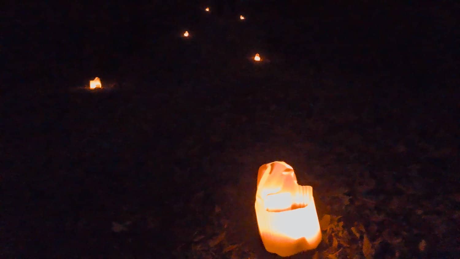 Luminarias leading into the woods.