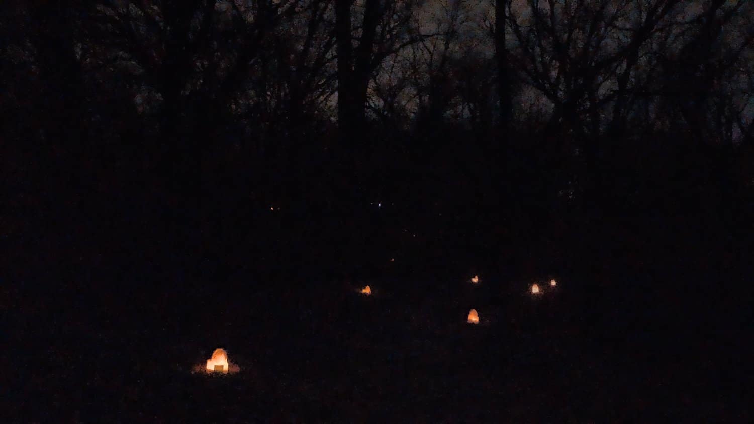 Luminarias outlines the path through the woods.