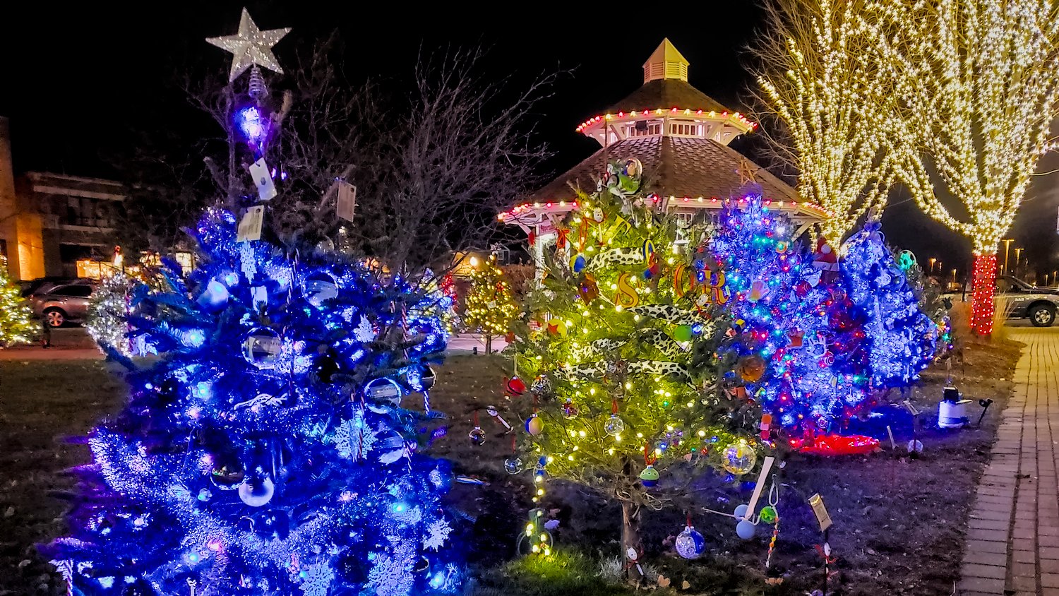 Strolling Down Christmas Tree Lane And Meeting With The Big Guy • Out & About In McHenry Life Magazine