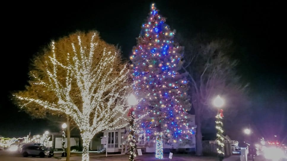 Crystal Lake Christmas tree.