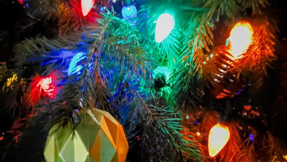 Close up of colorful Christmas lights on outdoor tree.