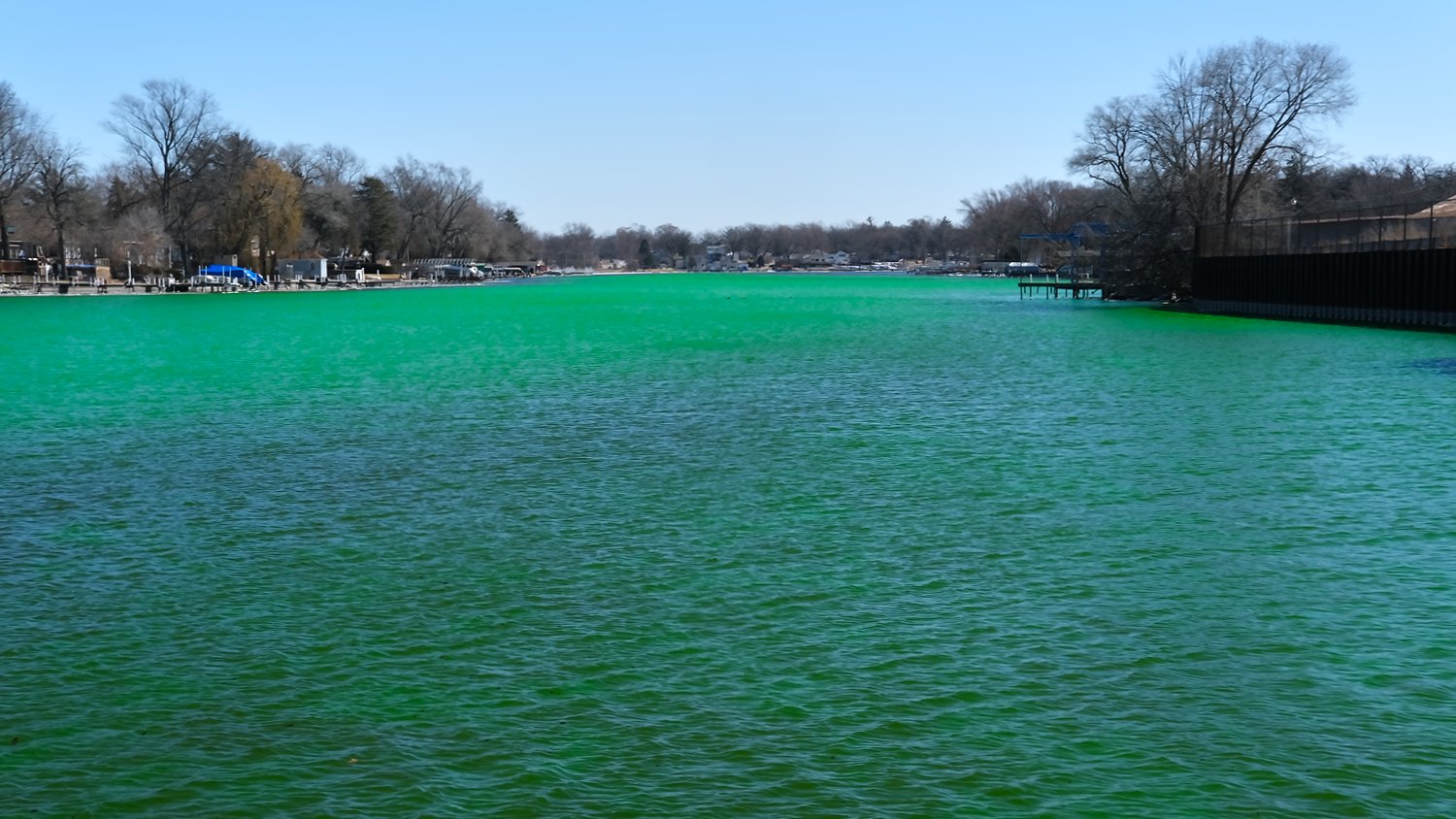 The Fox River dyed green for McHenry Sham-rocks the Fox.