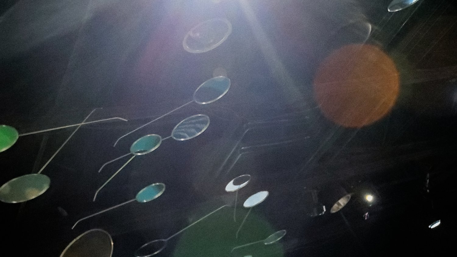 Reflective ceiling art at Shedd Aquarium.