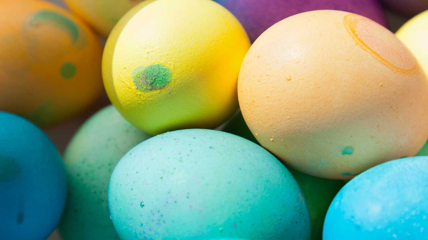 Dyed Easter eggs.