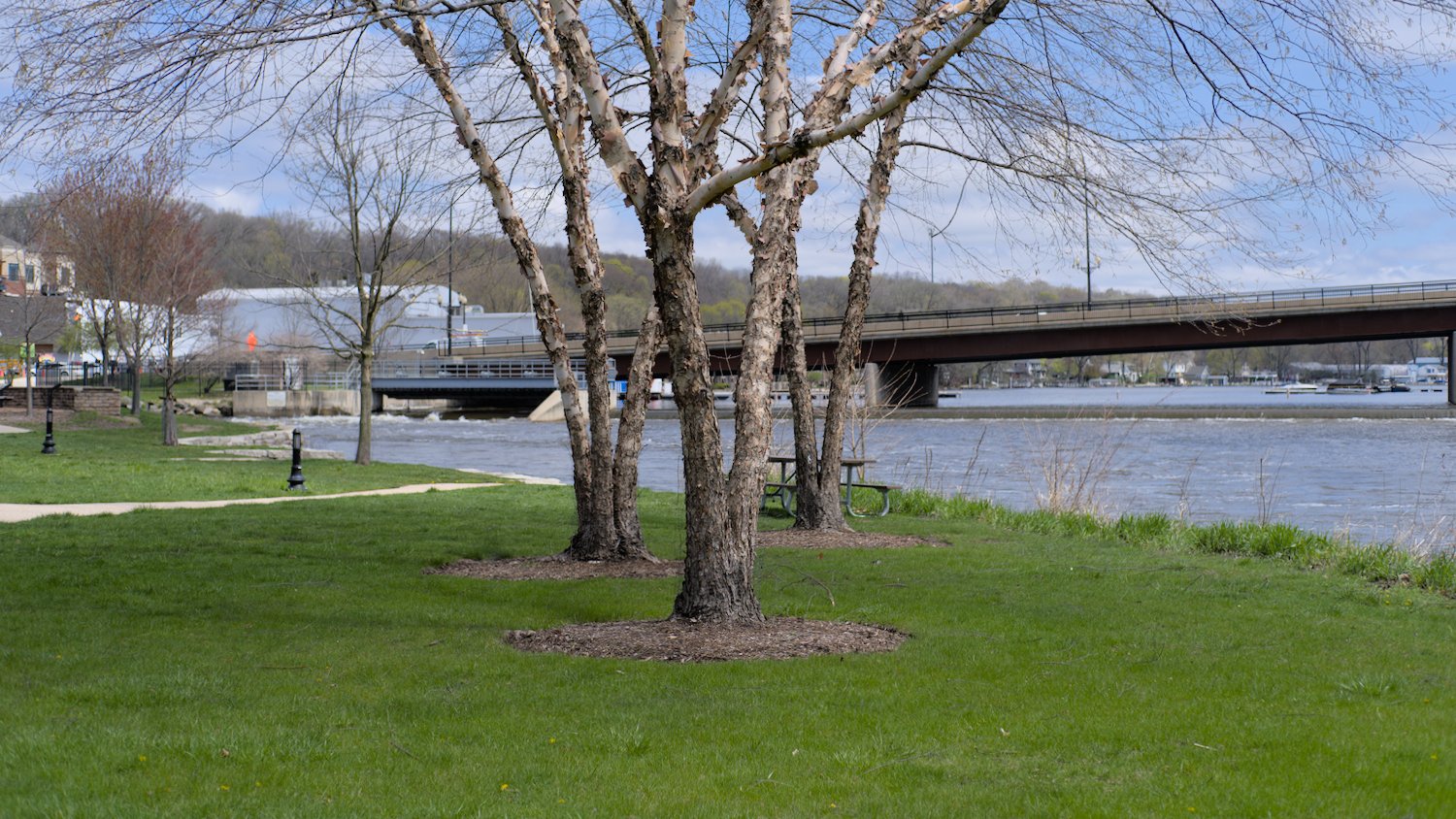 Greenspace and walking paths along the river.