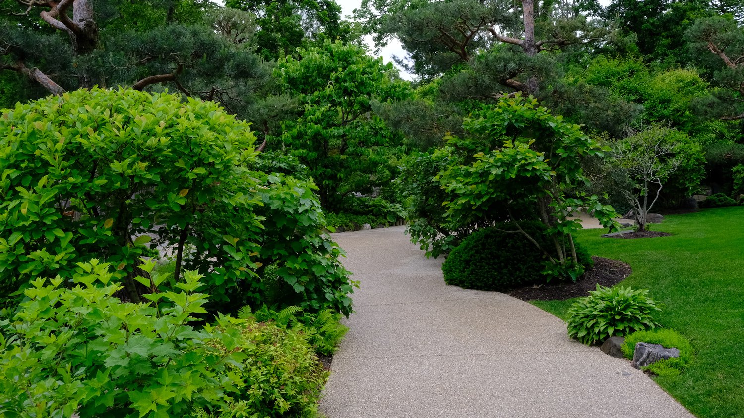 Wide open pathway through the gardens.