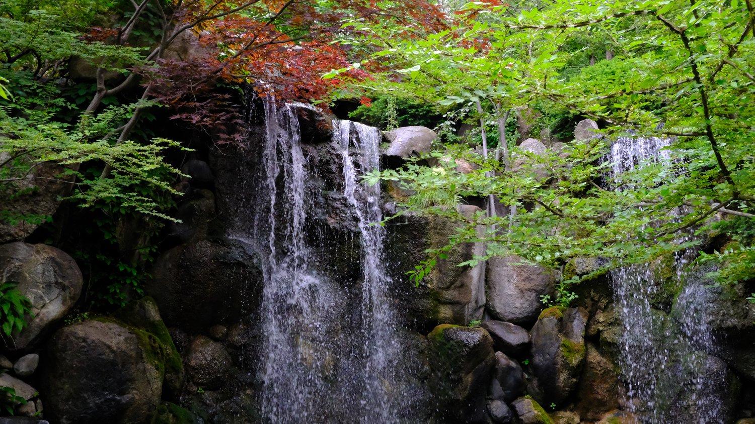 View up to the top of the Nishi No Take (west waterfall).