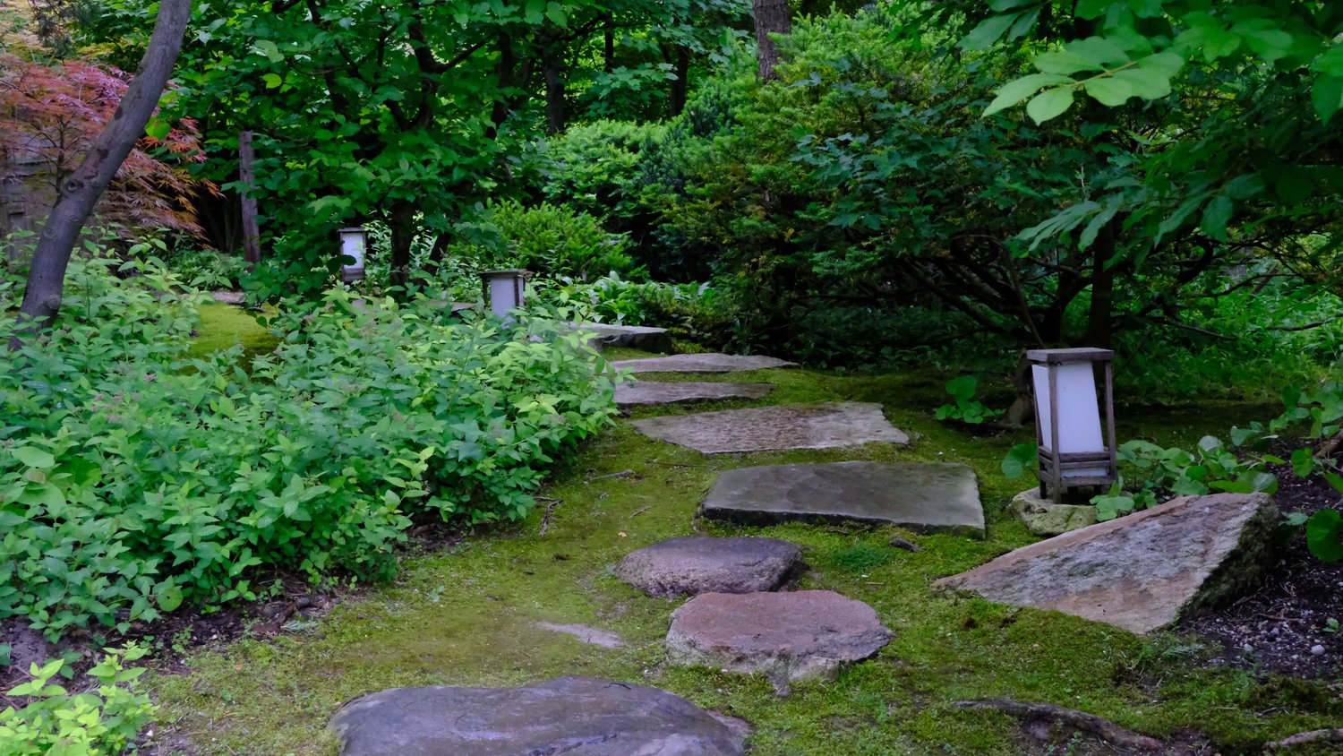 Stone path near the Sukiya Andoso guest house.