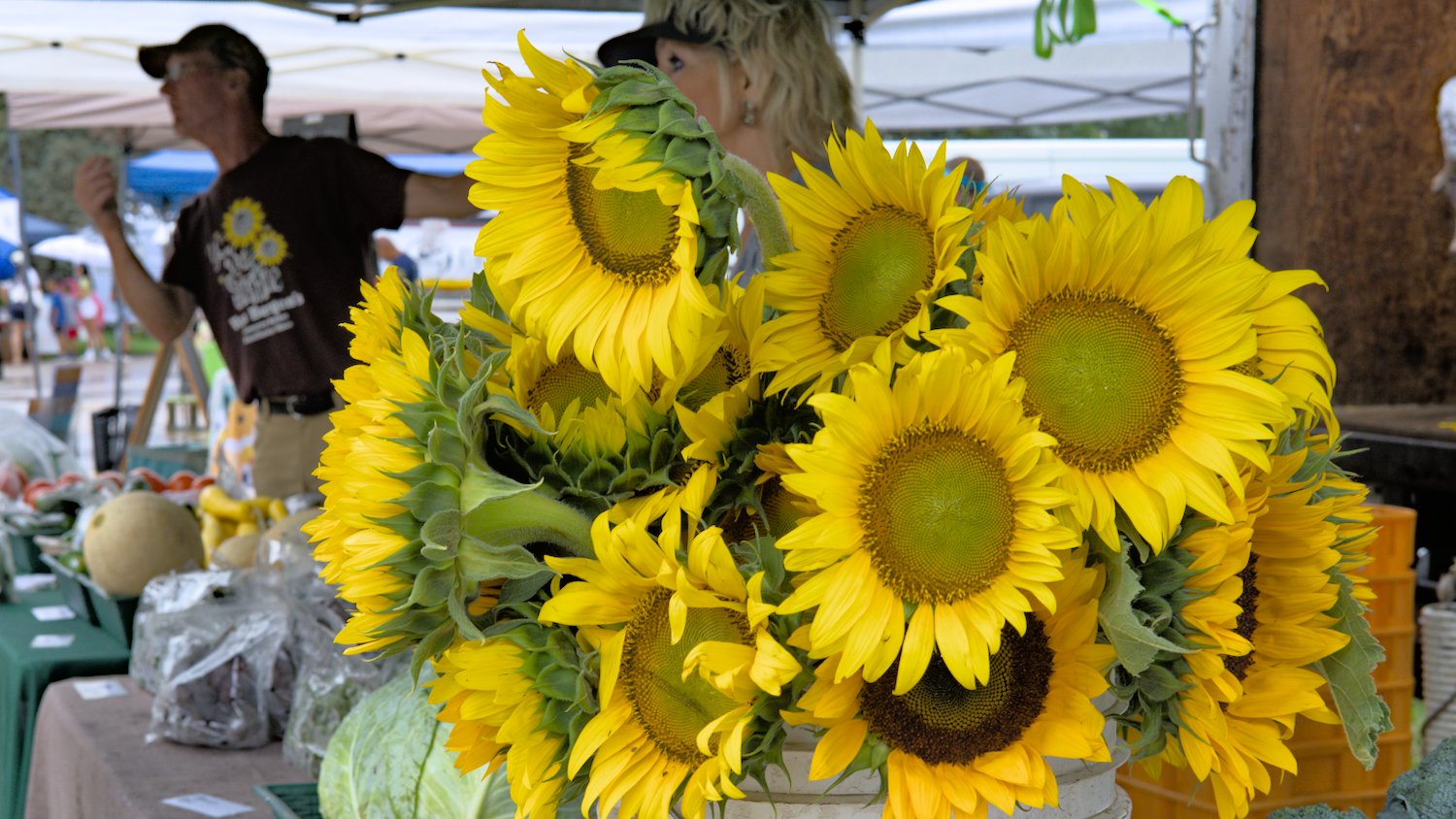 Sunflowers from Von Bergen's.