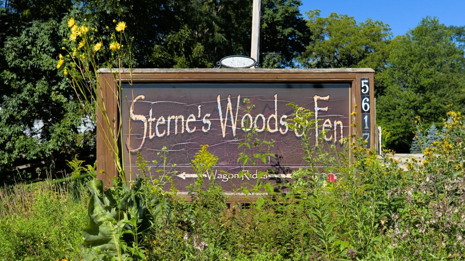 Partially hidden Sterne's Woods & Fen entrance sign.