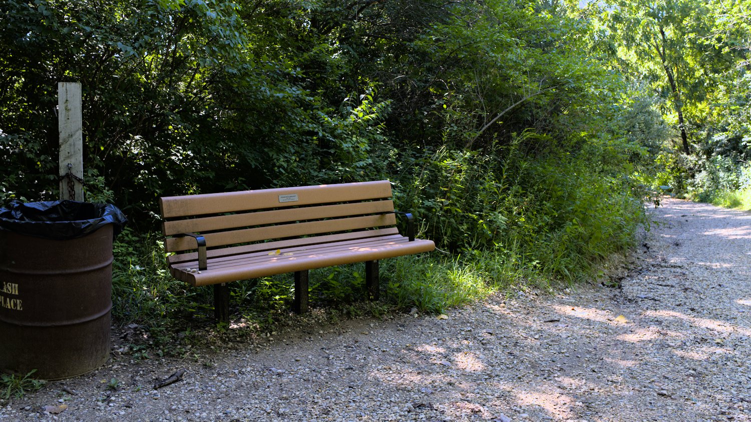 Bench at the intersection of the Veteran Acres - Sterne's Wood Trail and the Moraine View Trail.