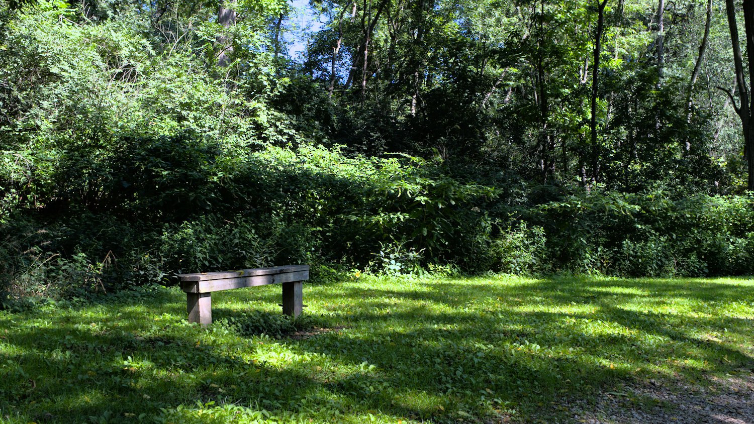 Bench along the path.
