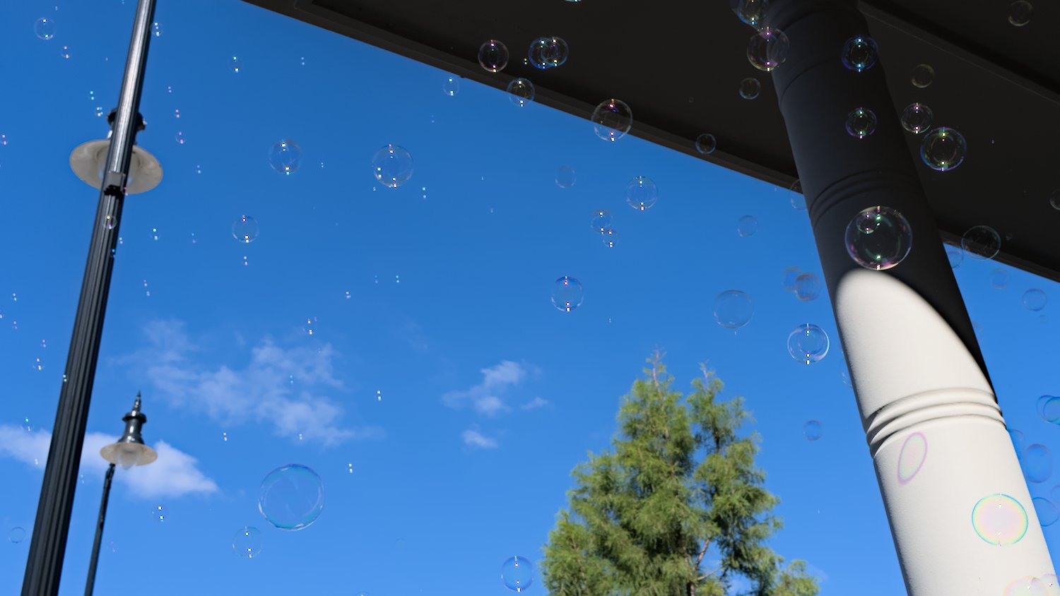 Bubbles from a bubble machine.