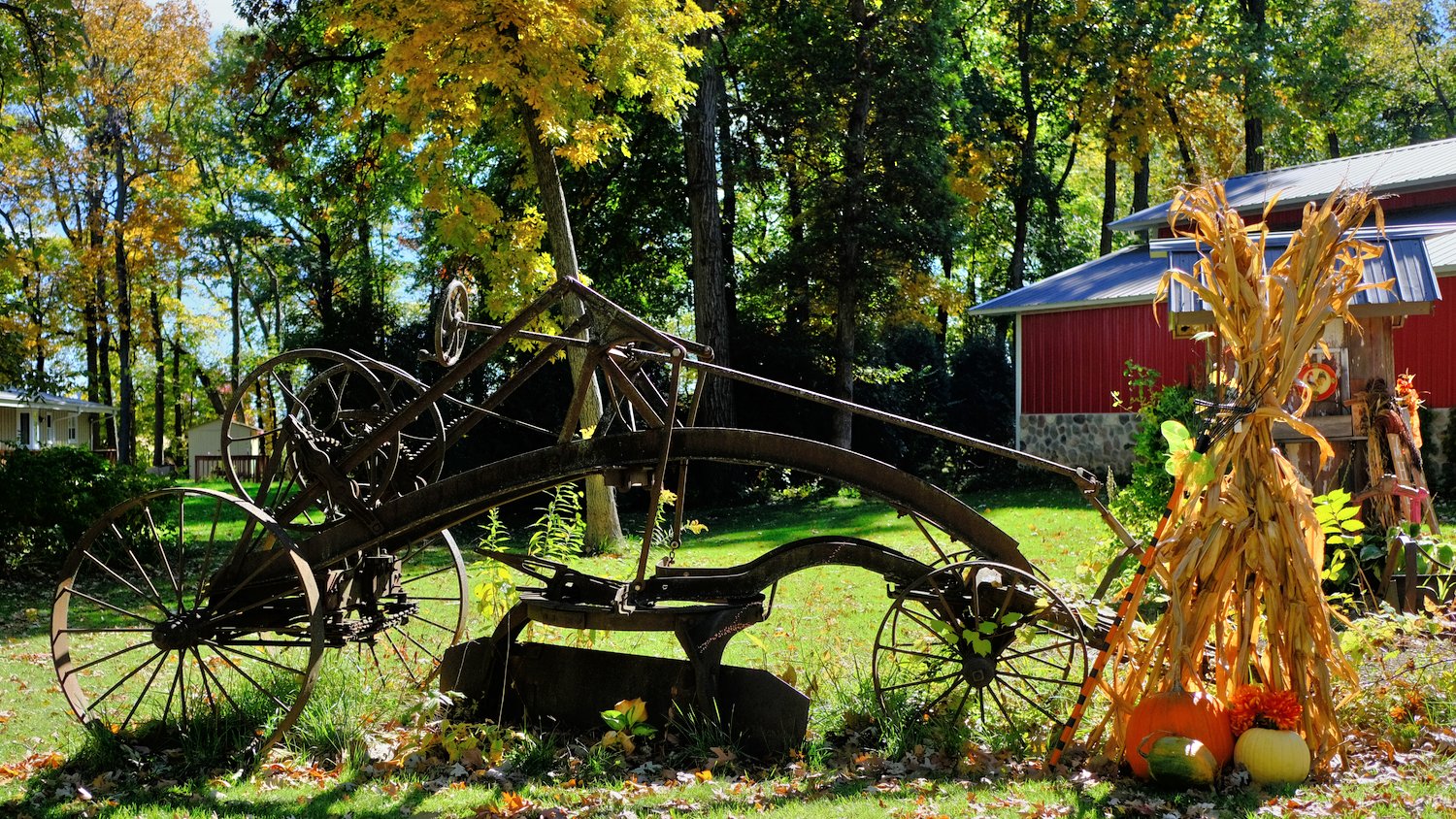Seasonal display with antique farm equipment.