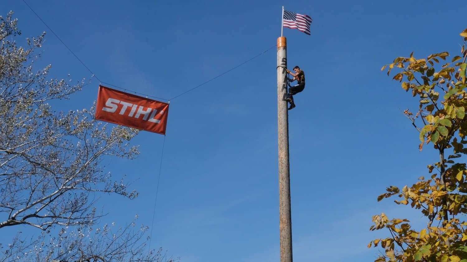 Lumberjack at the top of the pole in the speed climb.