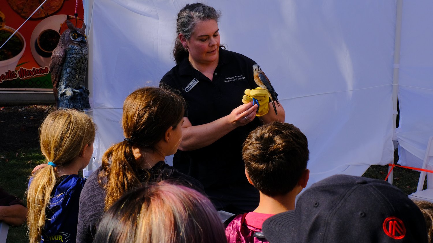 McHenry County Conservation District displaying a falcon at their Owlery tent at Witches & Wizards of Woodstock.