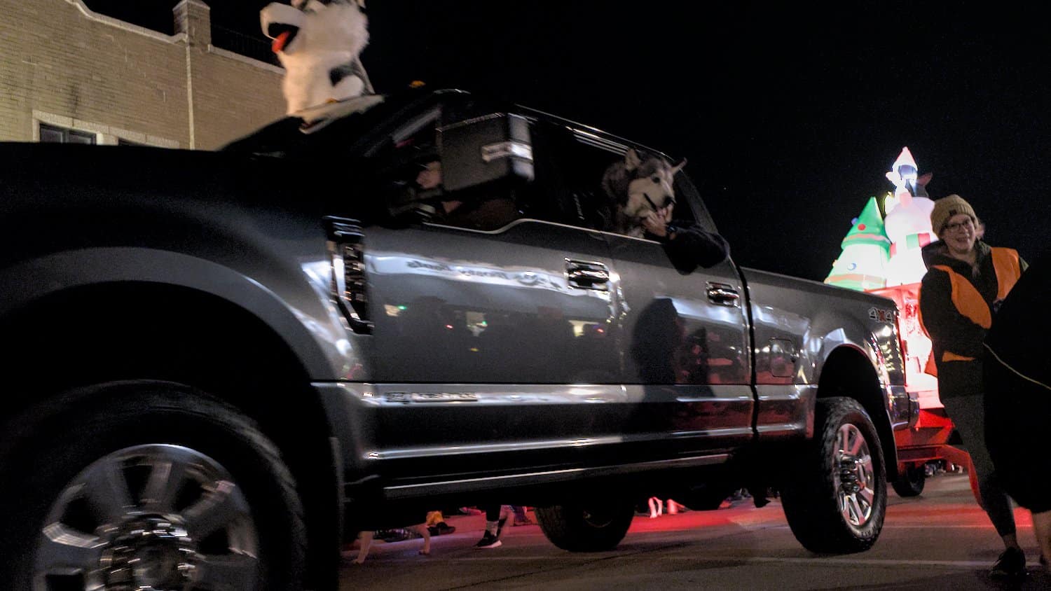 Huskies riding in the truck.