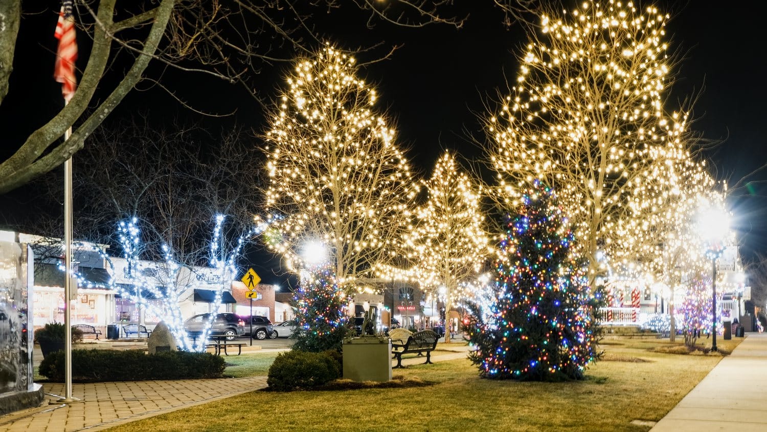 Lighted trees at Huntley's Town Square Christmas light display.