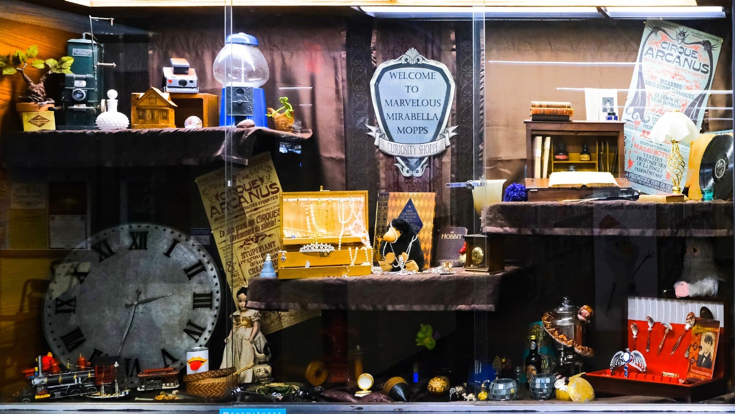 Fantastic Beasts-themed display in the youth section.