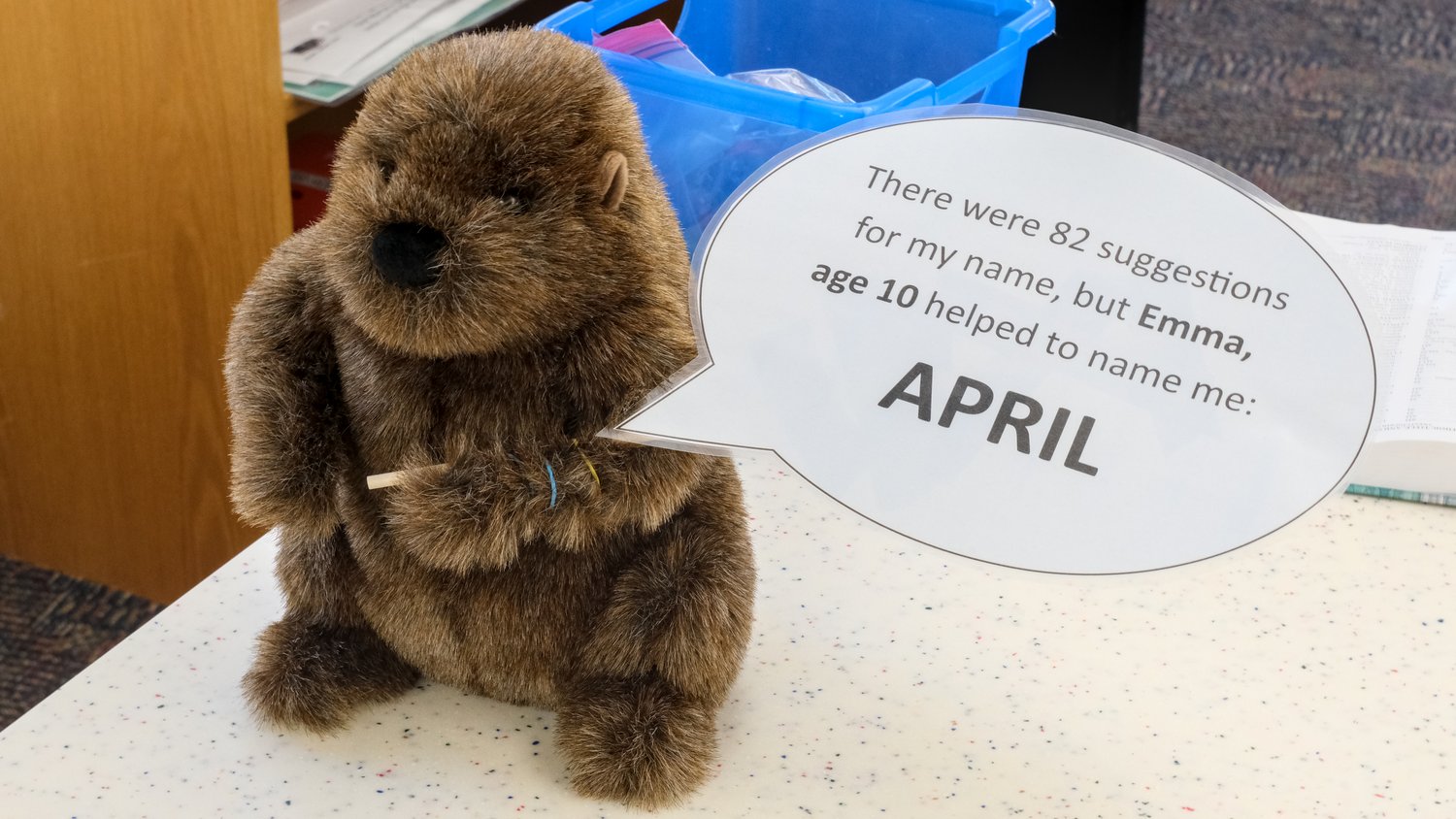 Woodstock Public Library's new mascot, April, the groundhog.
