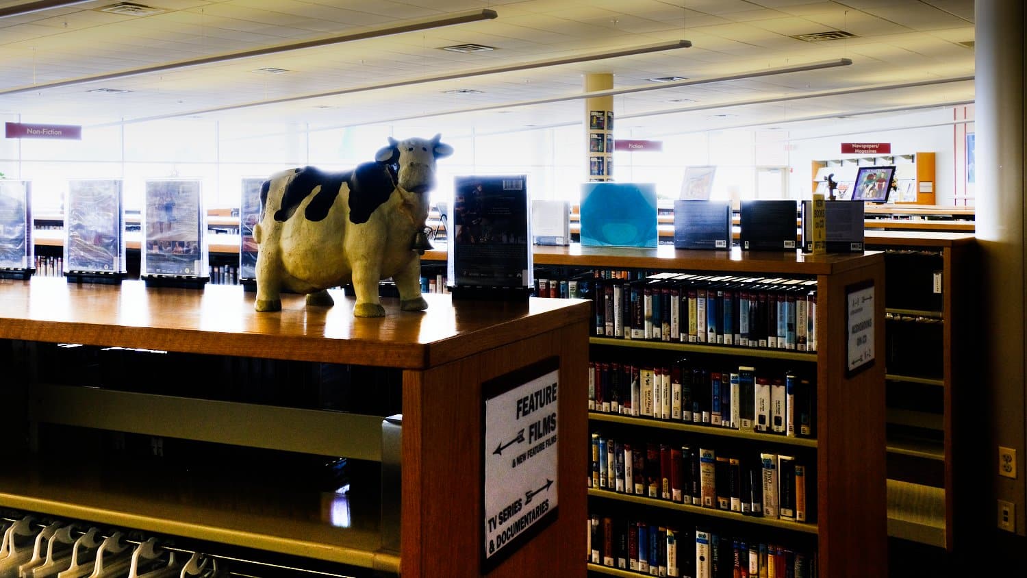 Video section of the library.