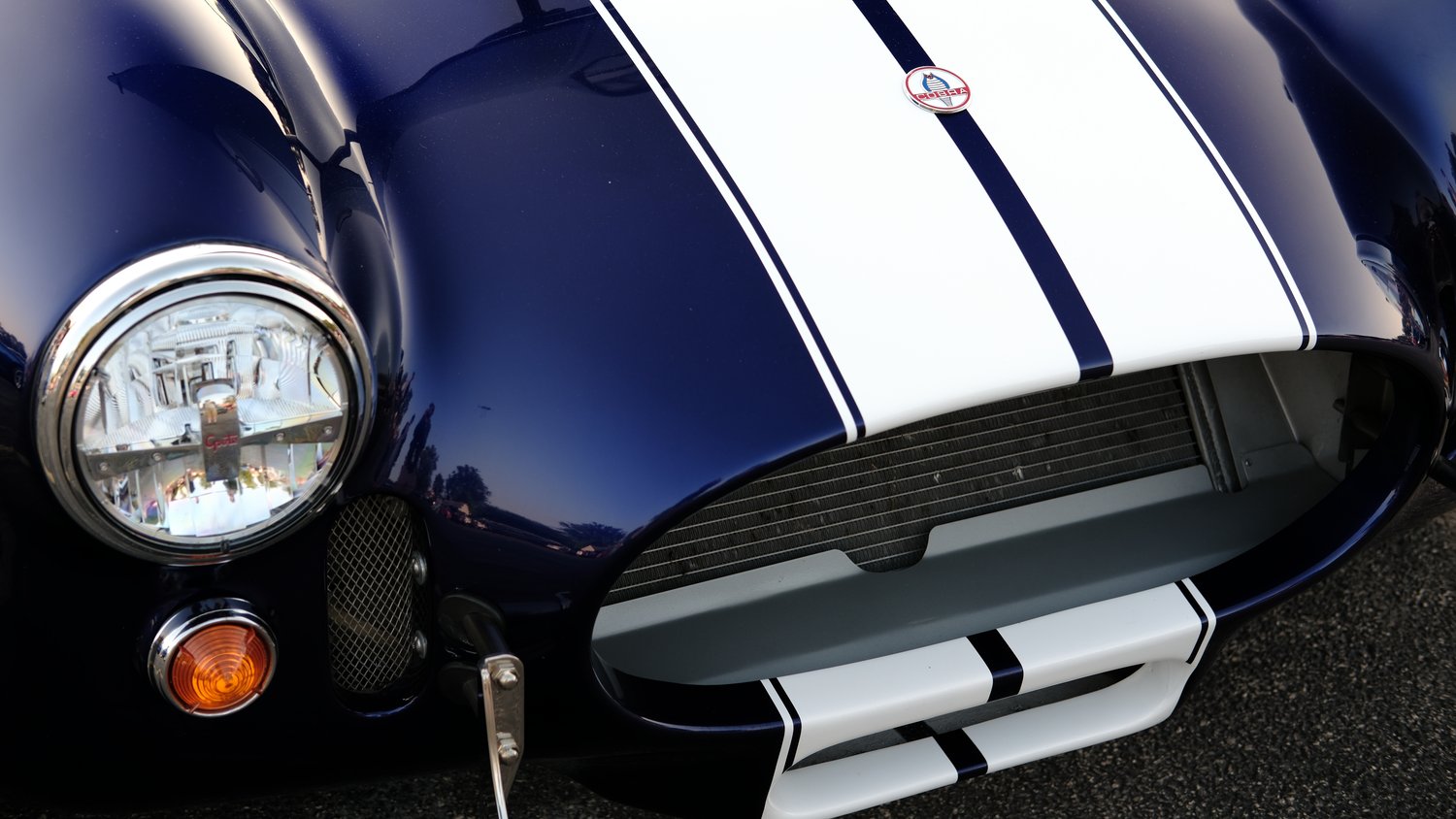 Shelby Cobra grille and hood.