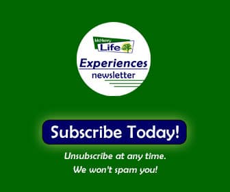 MCHL – Experiences Subscribe – 336×280