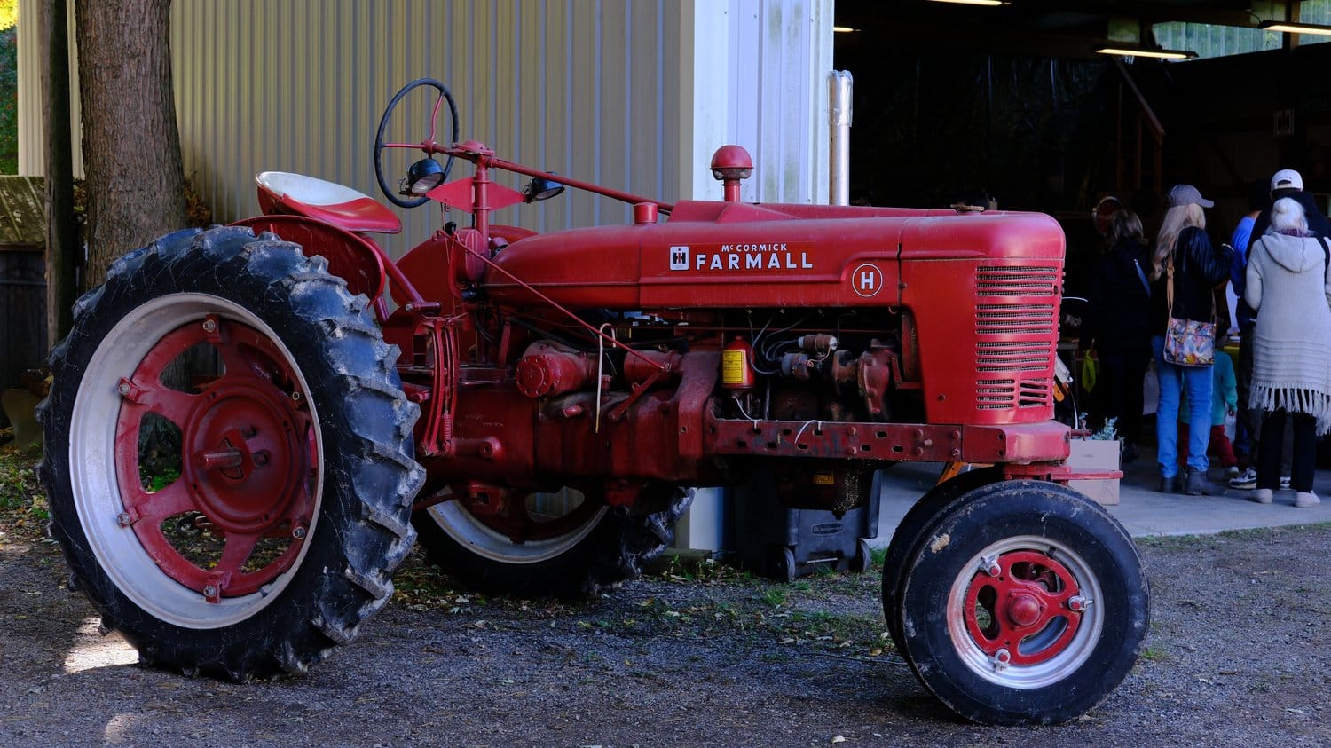 Antique Farmall tractor.