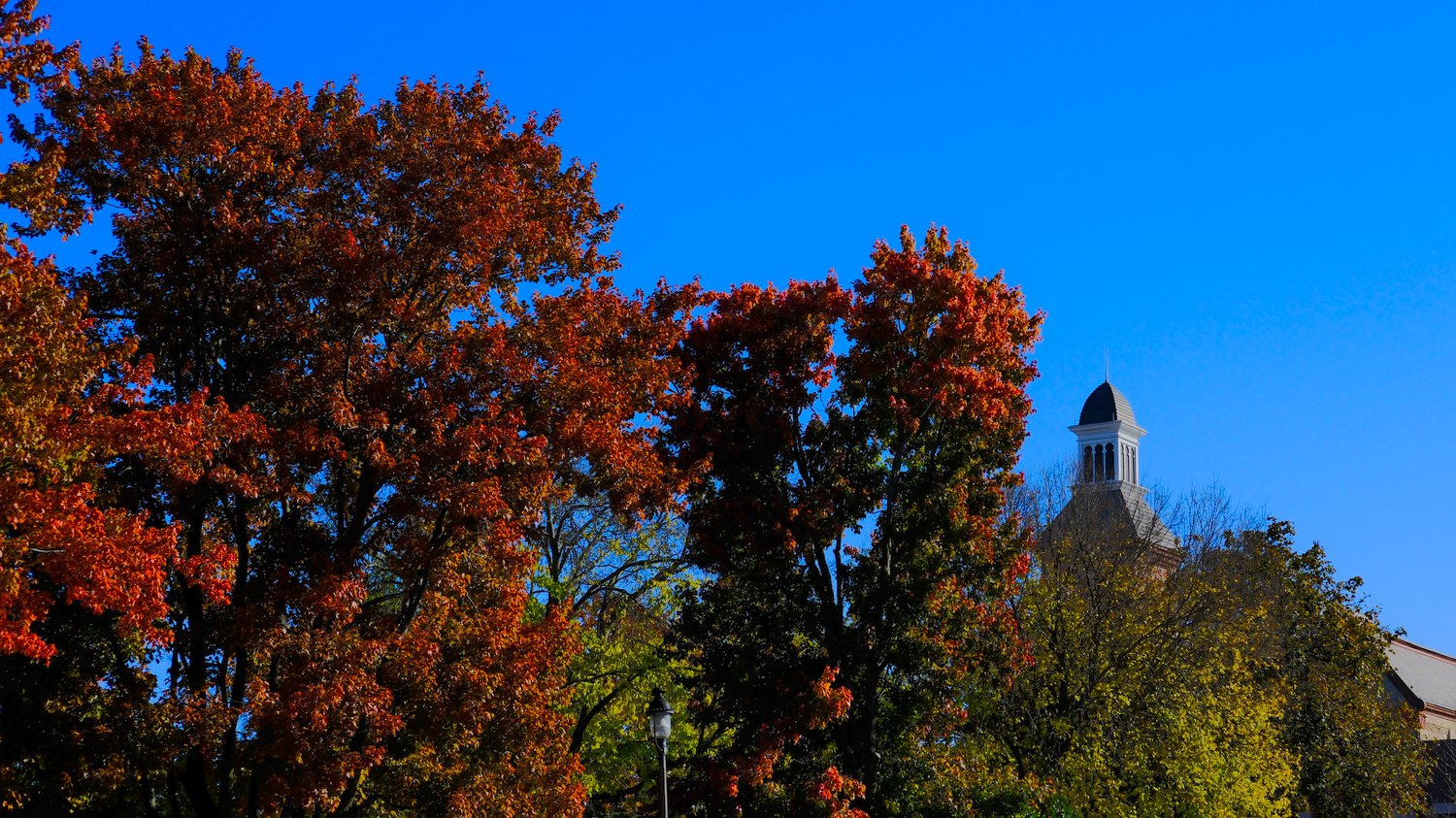 Steeple of the Woodstock Opera House and autumn leaves.