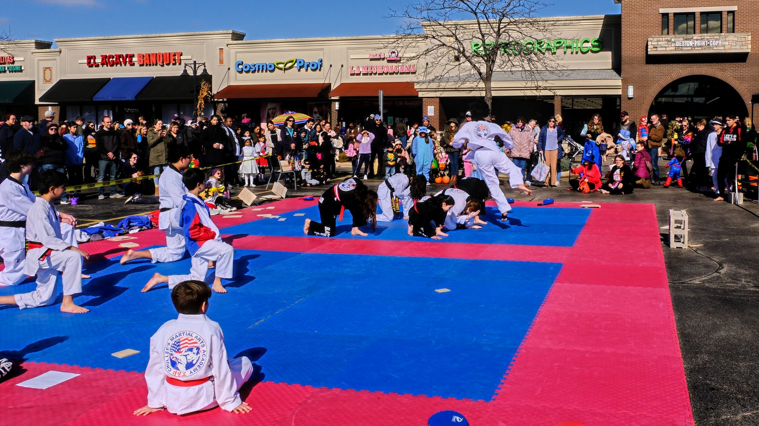 Lee's Martial Arts Demo team performing for the crowd.